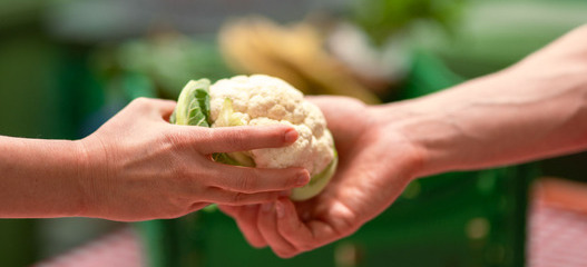 Übergabe von gerettetem Blumenkohl zwischen zwei Personen als Symbolbild für die wertvolle finanzielle Unterstützung von den Spenderinnen und Spender an die karitative Foodsave-Organisation Tischlein deck dich, die gerettete Lebensmittel an armutsbetroffene Menschen abgibt. 
