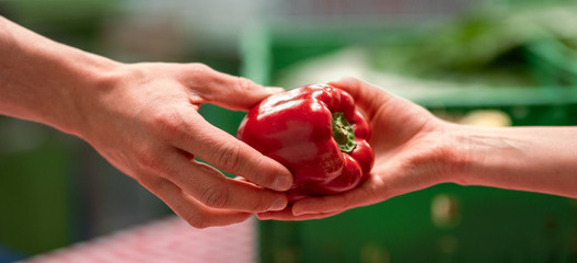 Übergabe von gerettetem Paprika zwischen zwei Personen als Symbolbild für die wertvolle finanzielle Unterstützung von den Spenderinnen und Spender an die karitative Foodsave-Organisation Tischlein deck dich, die gerettete Lebensmittel an armutsbetroffene Menschen abgibt. 