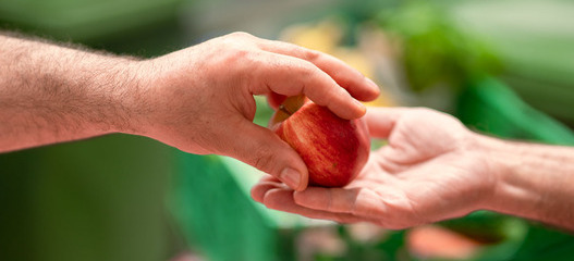 Übergabe eines geretteten Apfels zwischen zwei Personen als Symbolbild für die wertvolle finanzielle Unterstützung von den Spenderinnen und Spender an die karitative Foodsave-Organisation Tischlein deck dich, die gerettete Lebensmittel an armutsbetroffene Menschen abgibt.