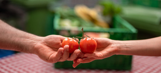 Übergabe einer geretteten Tomate zwischen zwei Personen als Symbolbild für die wertvolle finanzielle Unterstützung von den Spenderinnen und Spender an die karitative Foodsave-Organisation Tischlein deck dich, die gerettete Lebensmittel an armutsbetroffene Menschen abgibt. 