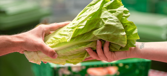 Übergabe von gerettetem Eisbergsalat zwischen zwei Personen als Symbolbild für die wertvolle finanzielle Unterstützung von den Spenderinnen und Spender an die karitative Foodsave-Organisation Tischlein deck dich, die gerettete Lebensmittel an armutsbetroffene Menschen abgibt. 