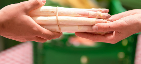 Übergabe von gerettetem Spargel zwischen zwei Personen als Symbolbild für die wertvolle finanzielle Unterstützung von den Spenderinnen und Spender an die karitative Foodsave-Organisation Tischlein deck dich, die gerettete Lebensmittel an armutsbetroffene Menschen abgibt.