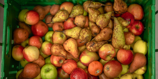 Palette mit gespendetem Obst und Gemüse im Logistiklager Winterthur von der Hilfsorganisation Tischlein deck dich als Symbolbild für das Thema Food Waste / Food Save, um so auf die Unterschiede bei den Haltbarkeitsdaten „mindestens haltbar bis“ und „zu verbrauchen bis“ aufmerksam zu machen.
