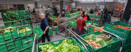 Innenansicht der Rüsterei Staufen der Hilfsorganisation Tischlein deck dich mit Paletten mit gespendetem Gemüse und zahlreichen freiwilligen Helferinnen, die zur Lebensmittelrettung in der Schweiz beitragen.
