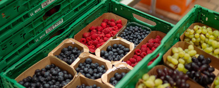 Paletten mit geretteten Lebensmitteln – Bananen, Mandarinen, Beeren, Äpfeln und Trauben – auf den Tischen einer Abgabestelle der Hilfsorganisation Tischlein deck dich.