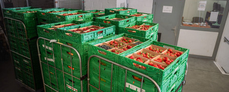 Paletten mit geretteten Beeren in einem Logistiklager der Hilfsorganisation Tischlein deck dich, bereit für den Versand an eine Abgabestelle.
