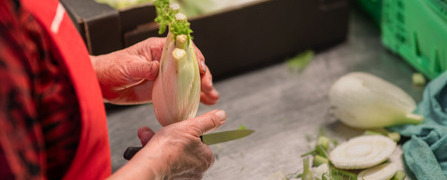 Freiwillige Helferin schneidet in der Rüsterei Staufen der Hilfsorganisation Tischlein deck dich die Enden von gerettetem Fenchel ab.